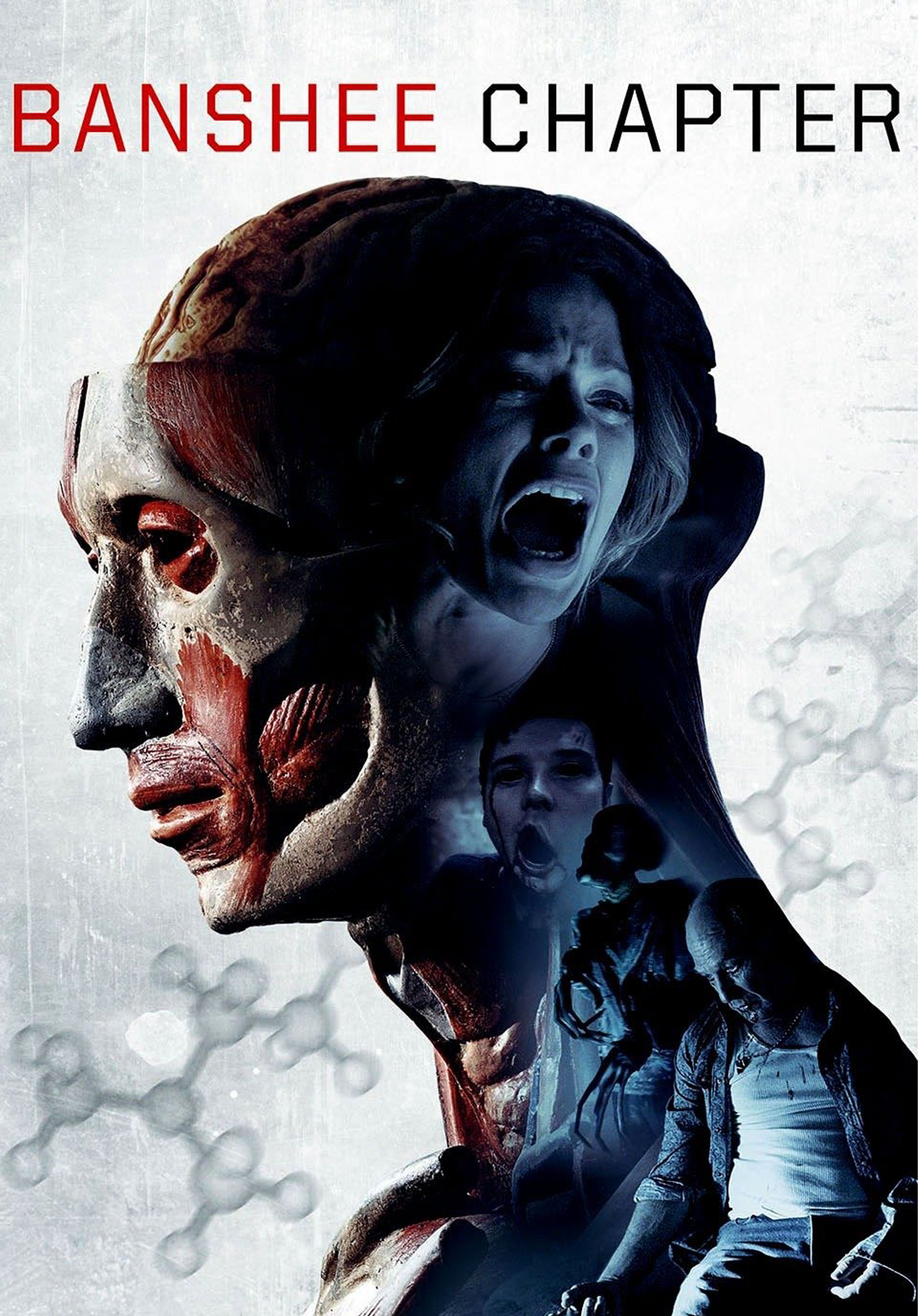 Banshee Chapter (2013)